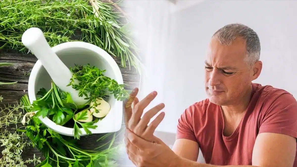 Voici l'herbe magique qui aide à soulager les symptômes de l’arthrose, de l’arthrite et de la goutte !